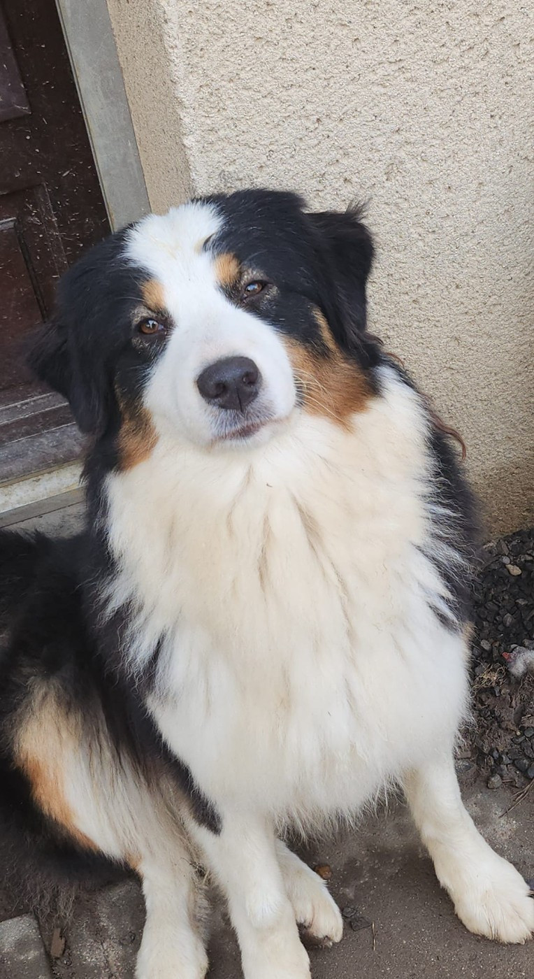 Army sera bientôt placée pour un panier retraite